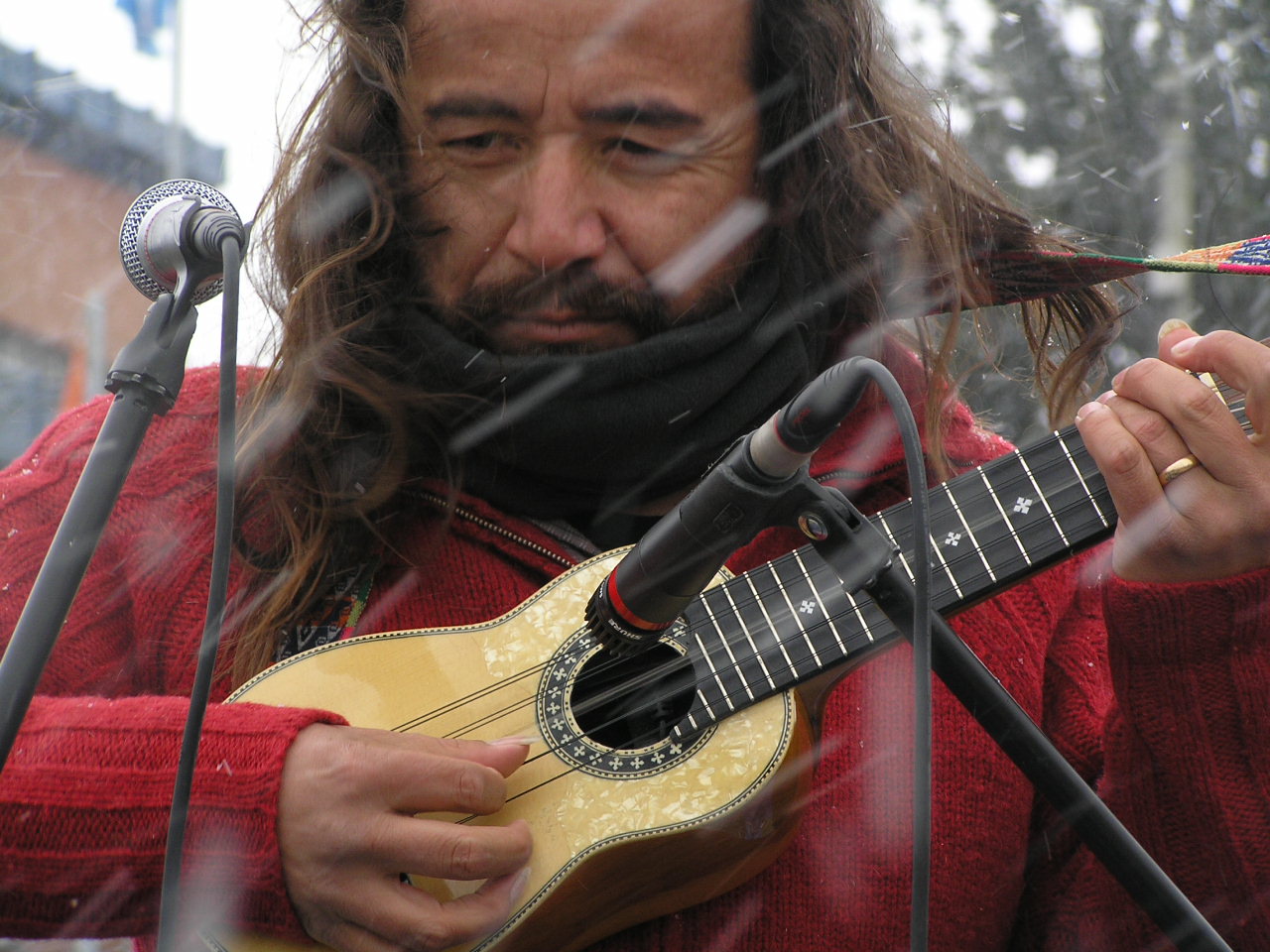 Freddy Torrealba